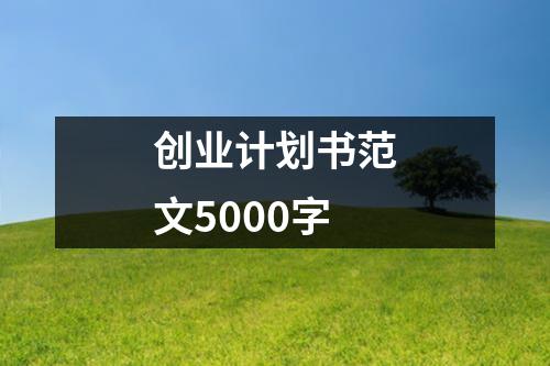 创业计划书范文5000字